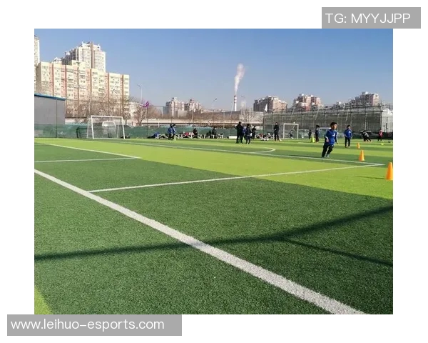 足球小子勇闯绿茵场挑战极限梦想与热血拼搏书写属于自己的传奇之路